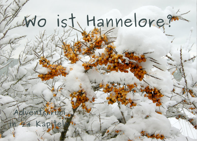 Titel des Adventskalenders 'Wo ist Hannelore?'